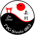 Jiu Jitsu Steele